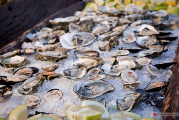 10483631 677861385630304 6478710160055988063 n