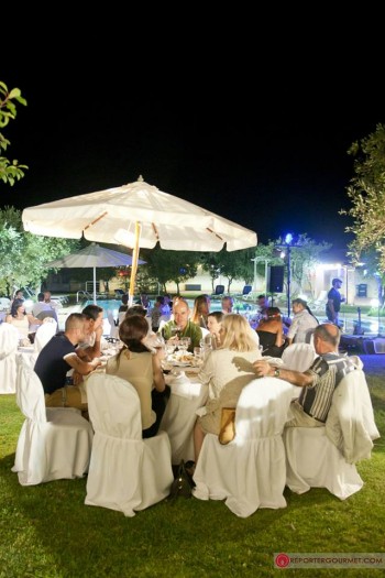 10559942 677862782296831 1470905193504213679 n